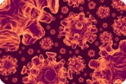 H1N1 Virus (Source:http://mashable.com/2009/04/25/track-swine-flu/)